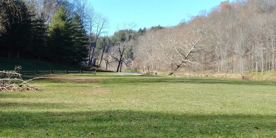 PLENTY OF FLAT BACKYARD TO PLAY SPORTS WITH FRIENDS AND YOUR KIDS