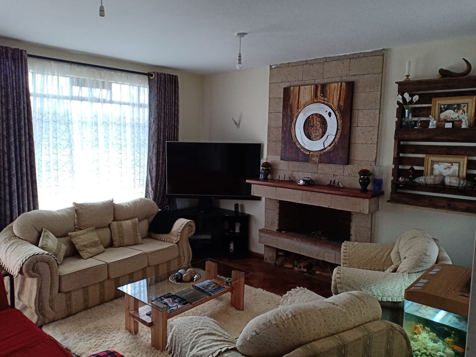 Flat-screen TV, Netflix