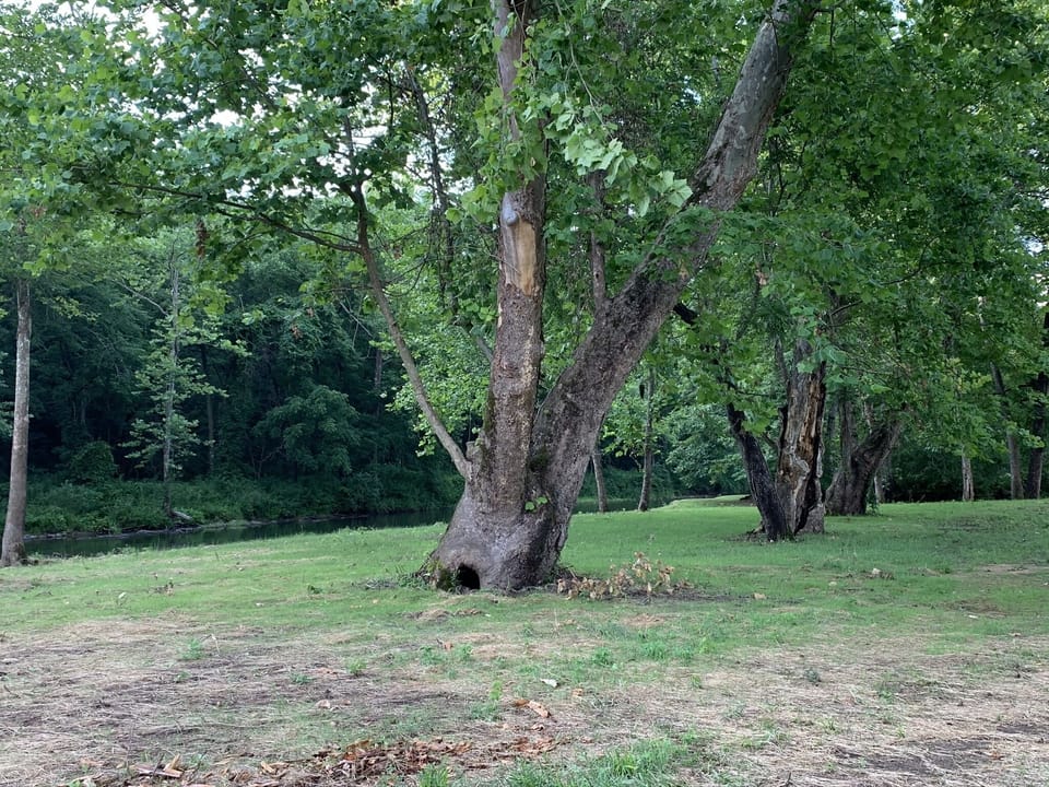 Hal's Point Great spot for a Picnic or Dip!