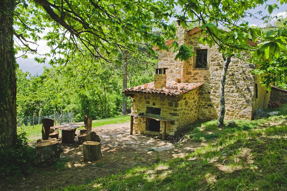 Pizza oven & outdoor seating