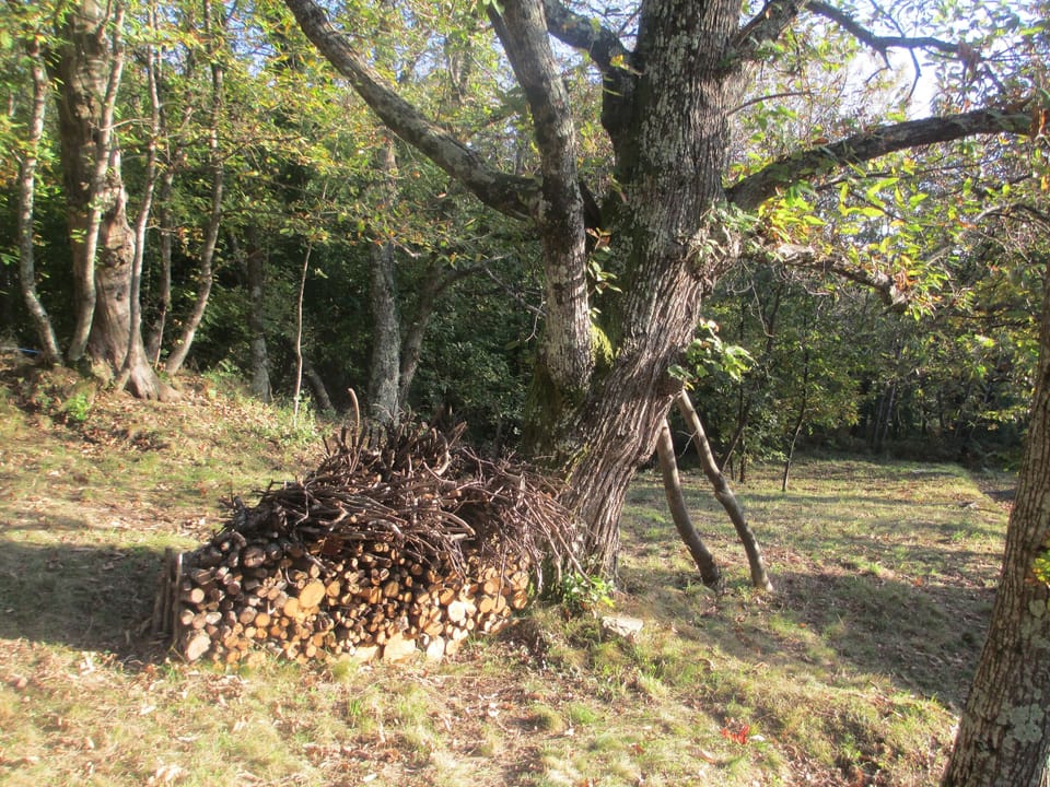 Firewood included
