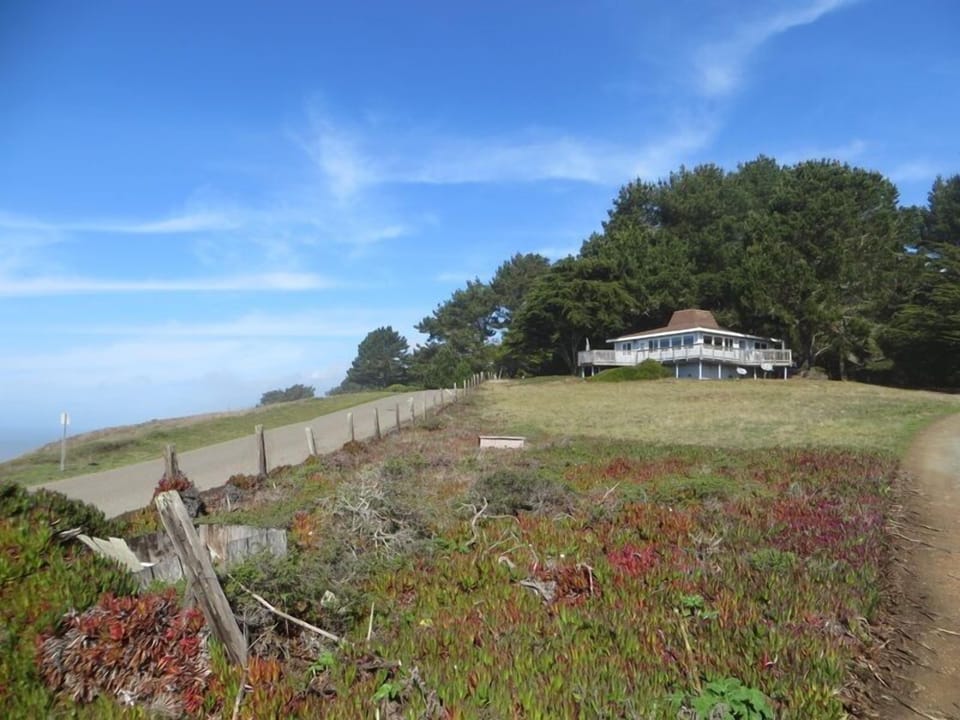 House is nestled in Cypress and Pines trees on 1 acre.  Windows throughout.