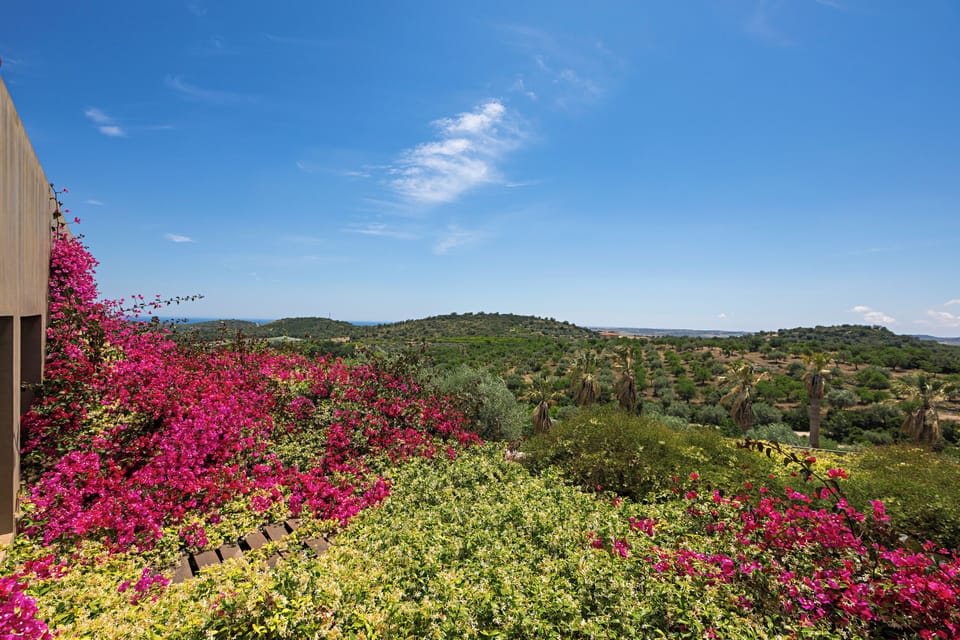 Deluxe Double or Twin Room, Garden View | View from room