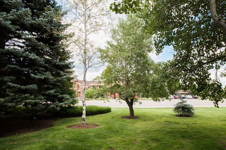 Park City ResortLodging-ParkAvenue292