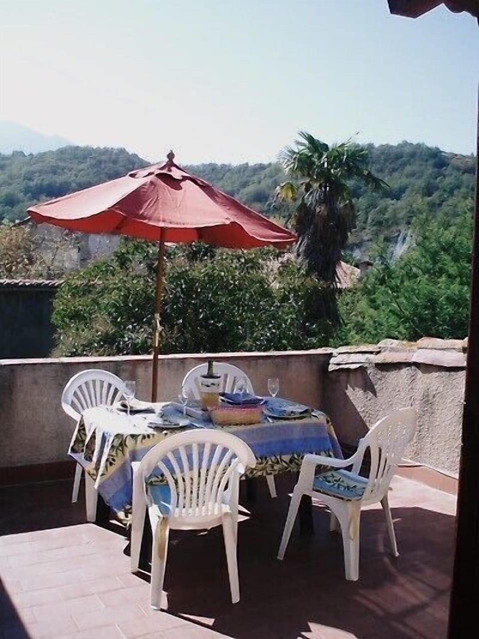 The roof terrace