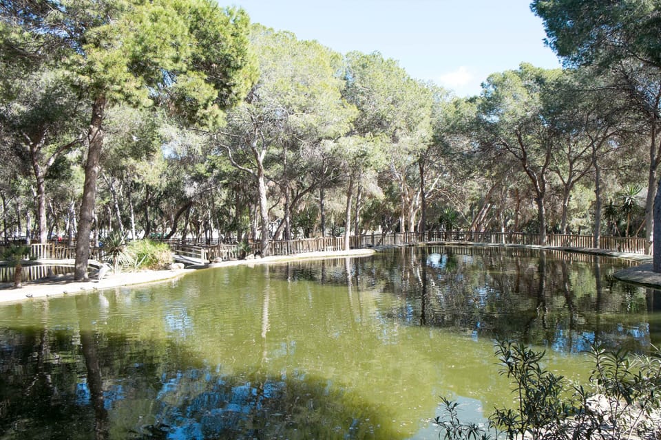 Beautiful park at Guardamar 