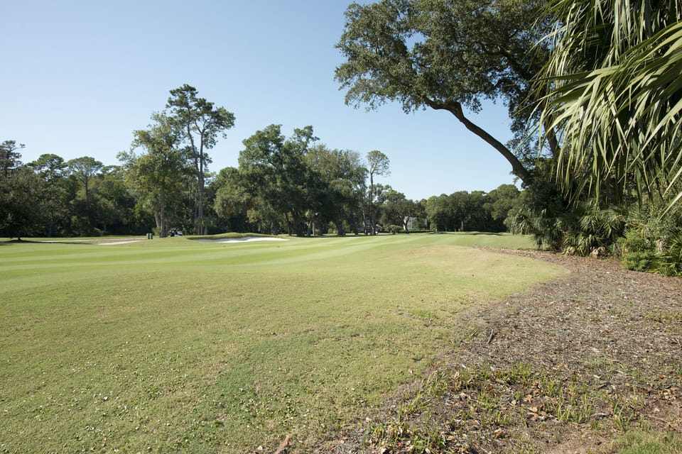 Beautiful Golf views
