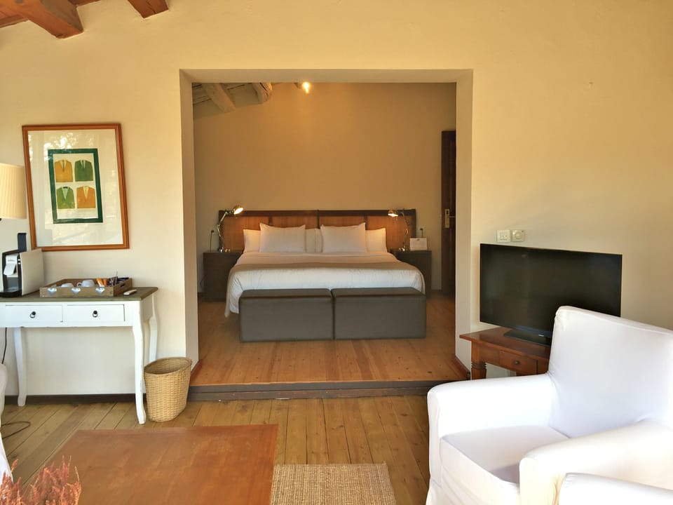 Junior Suite, Garden View | 1 bedroom, free WiFi, bed sheets