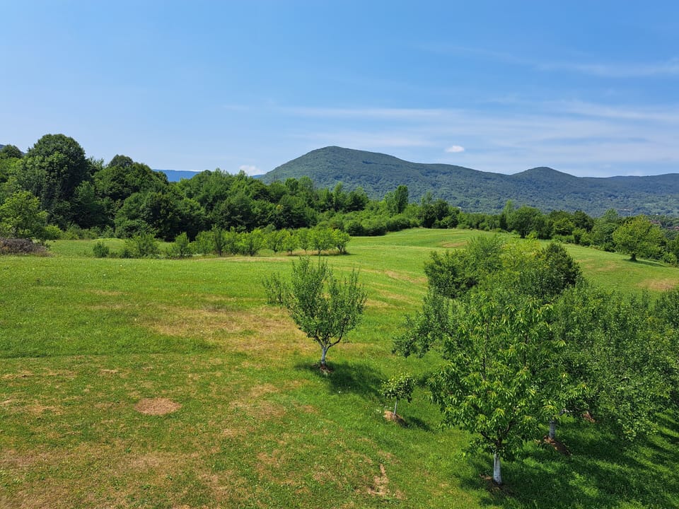 Family Apartment, 2 Bedrooms, Mountain View | Mountain view