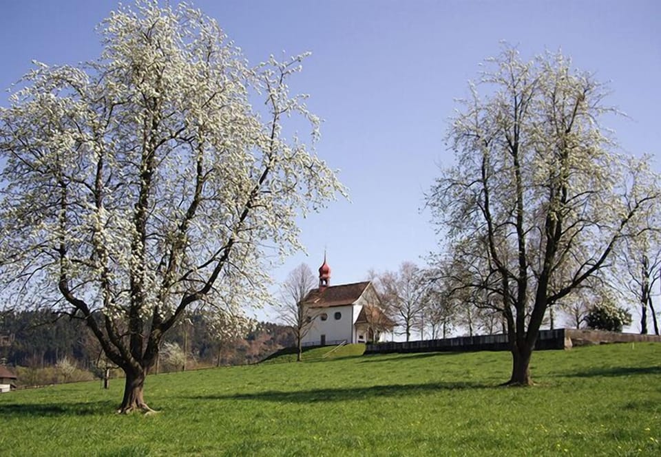 Land view from property