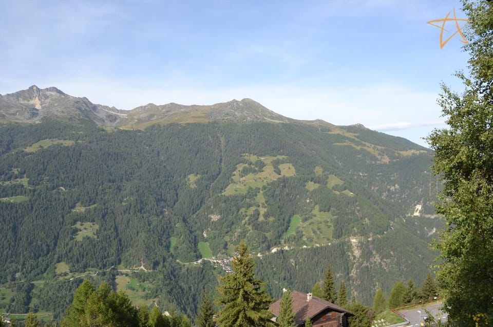 view (1)