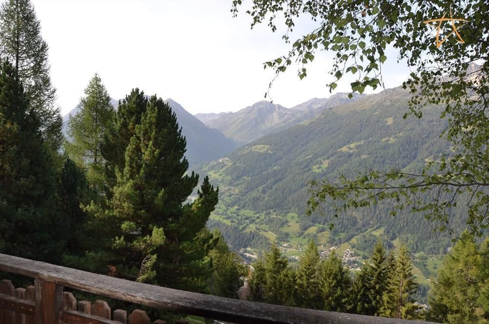 view (2)