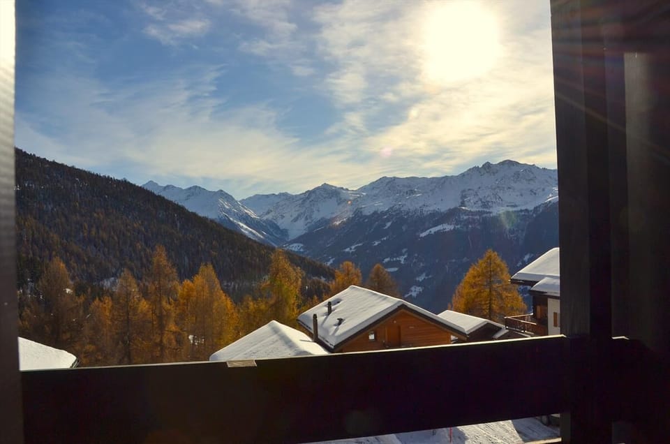view (2)