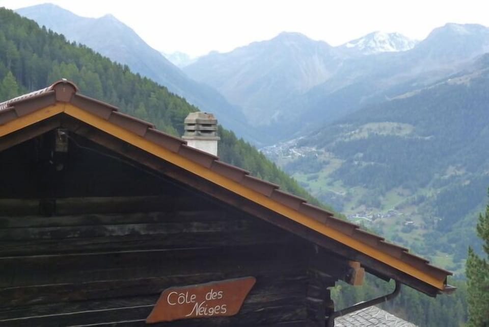 view