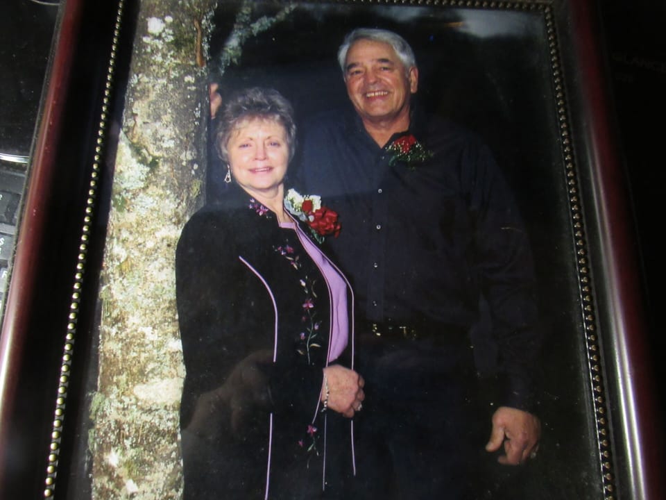 the owners