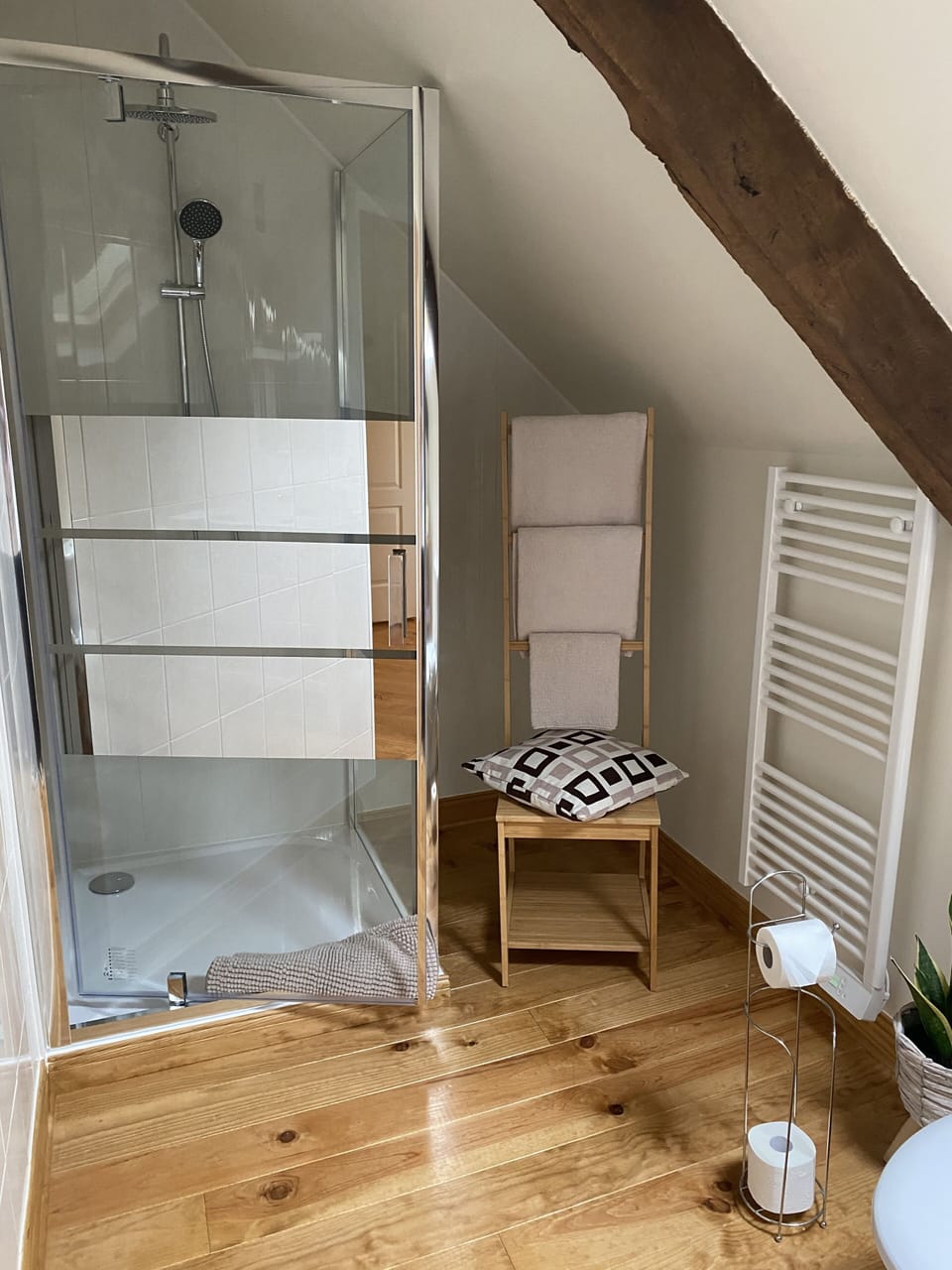 Double Room (Magnolia, 17 sq m) | Bathroom | Shower, hydromassage showerhead, free toiletries, towels