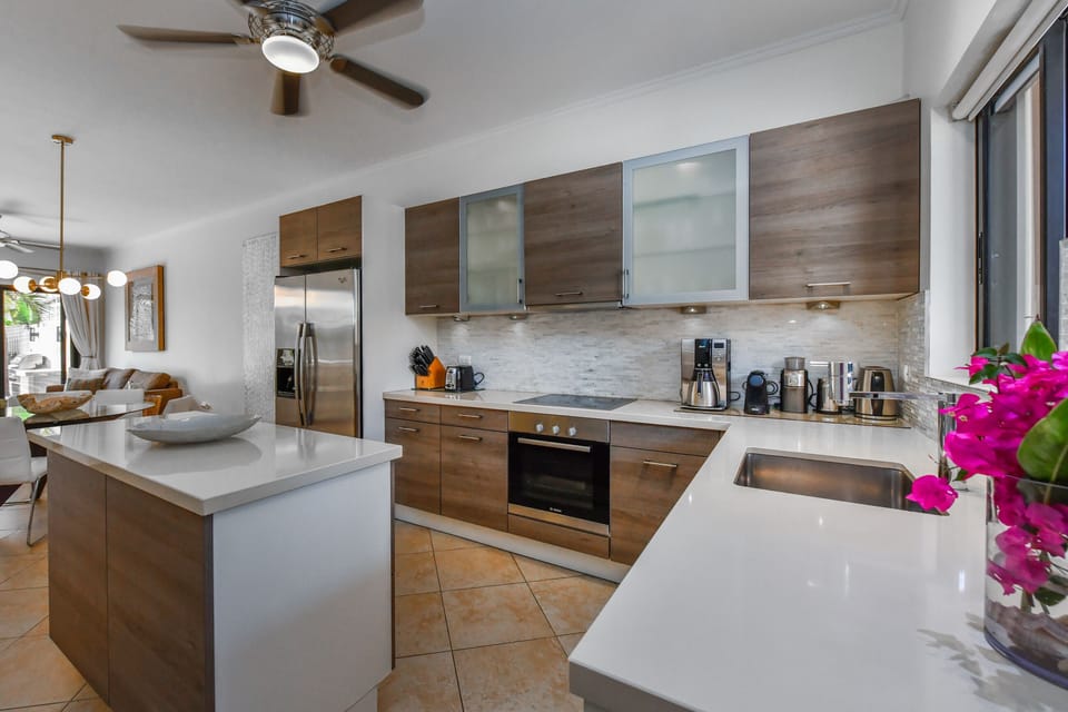Fully-equipped modern kitchen
