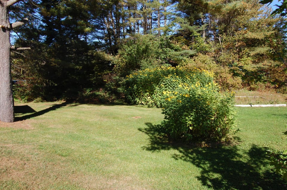 Green space and backyard, fire pit available