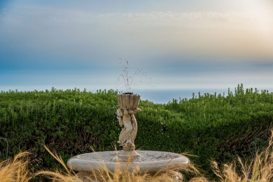 In a corner of the garden, you'll find one of the two fountains, as well as pomelo, kumquat, and guava trees.