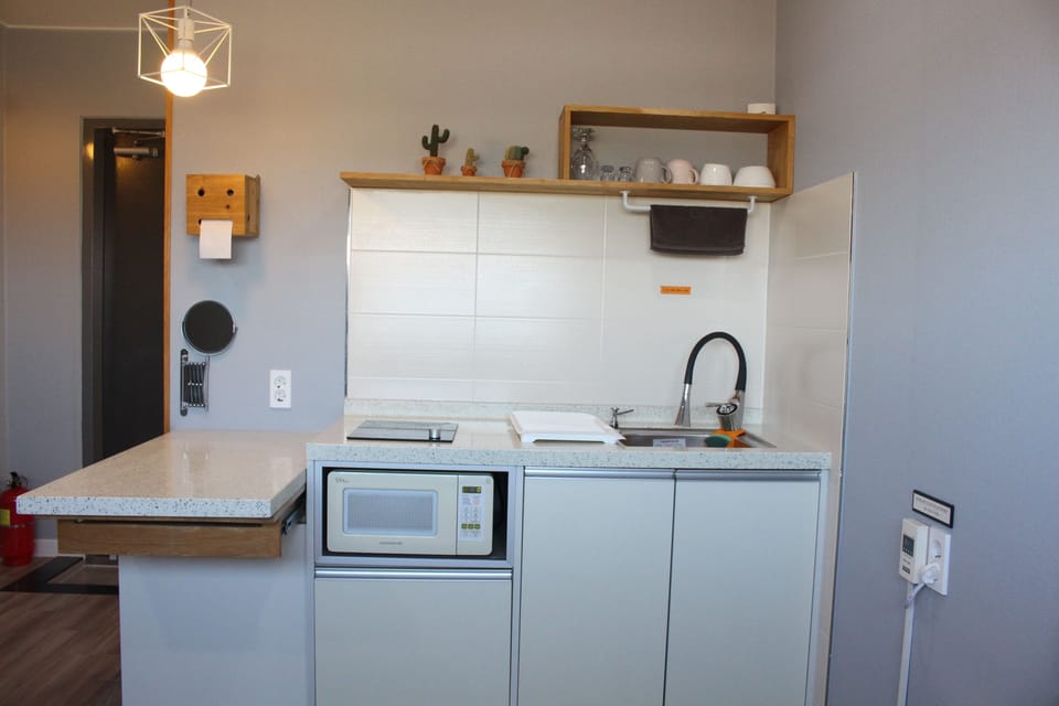 Studio | Private kitchen | Fridge, microwave, stovetop, electric kettle