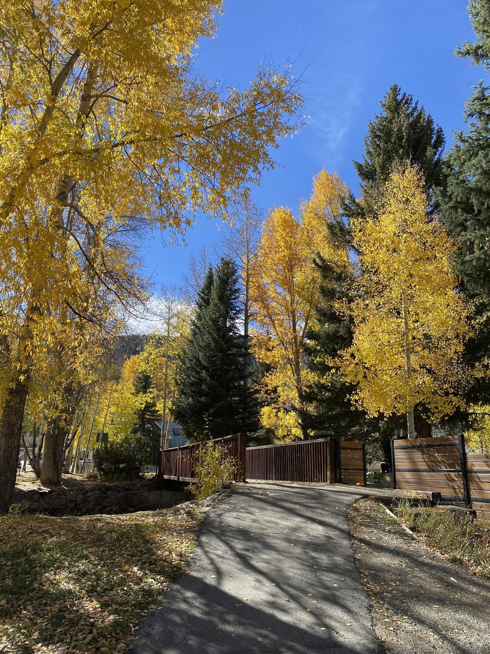 Short cut over Coal Creek to downtown!