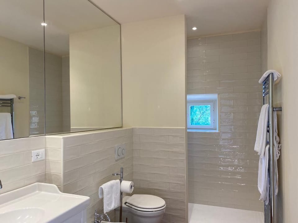 Shower, hair dryer, bidet, towels