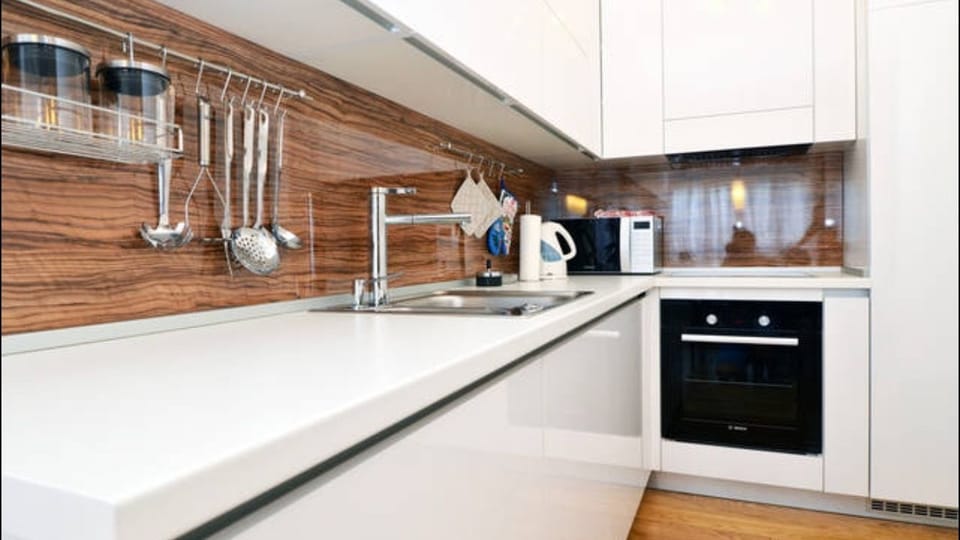 Full-size fridge, microwave, oven, stovetop