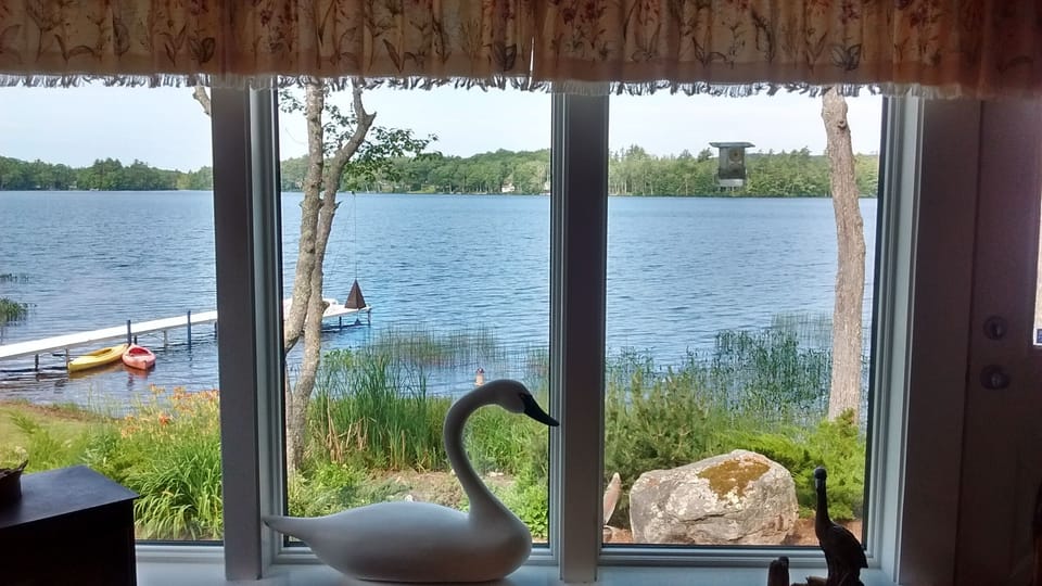 View of lake and great bird watching