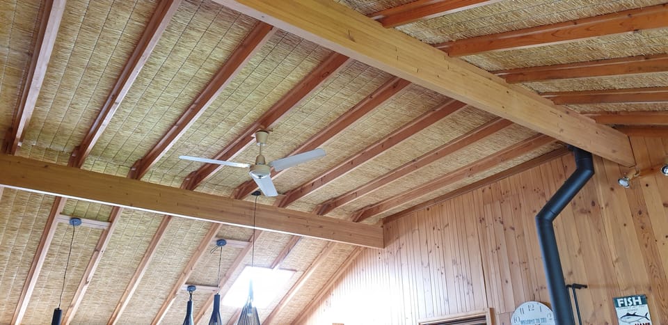 Ceiling in main lounge/dining/kitchen