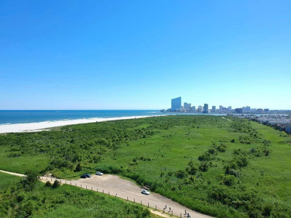 Walking path from condo to the beach