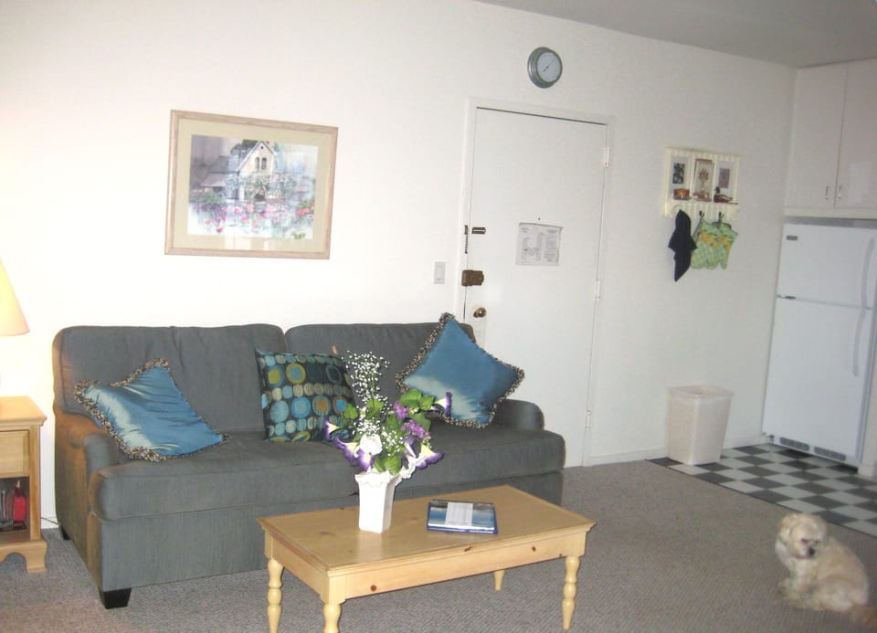 Sofa and Entrance to Studio