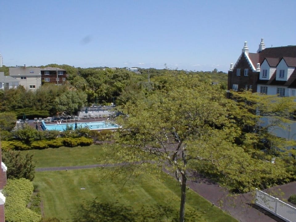 View from Window