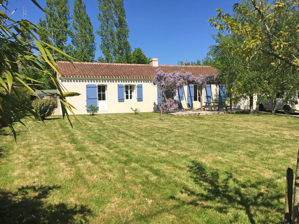 Large garden