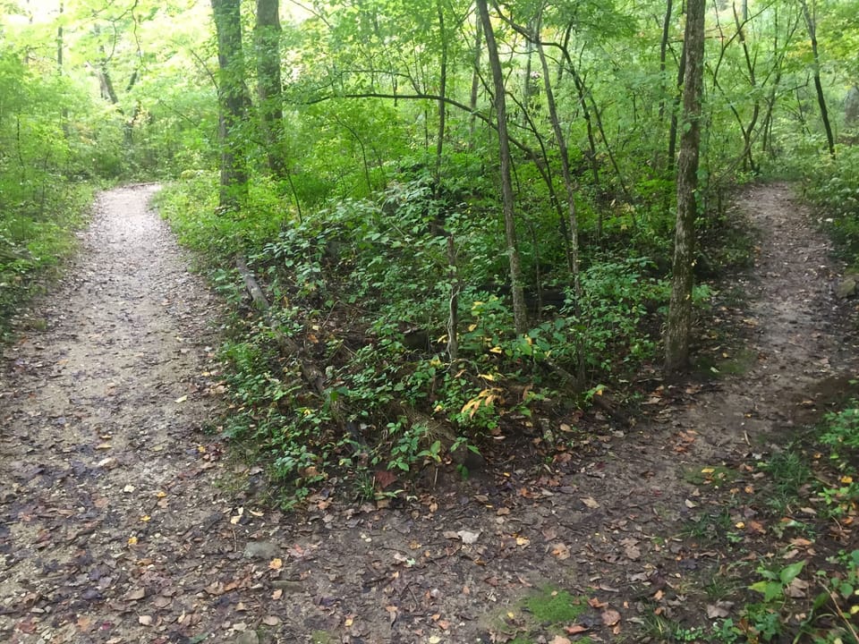 Trail behind the houe
