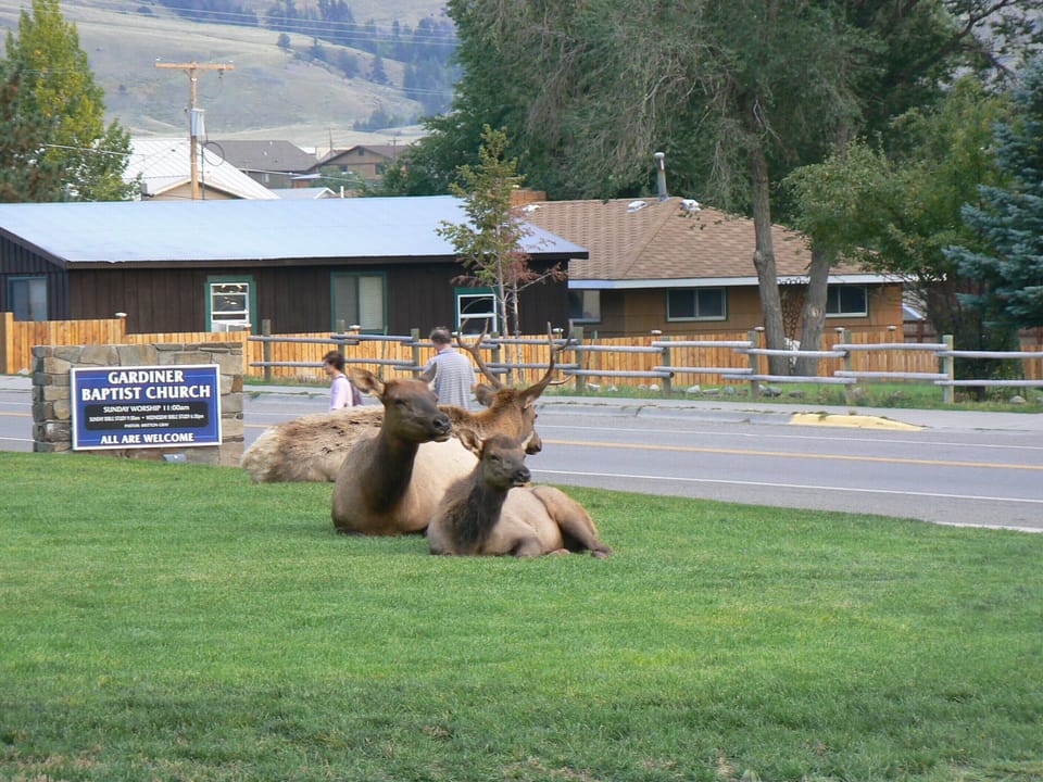 My 3 bedroom home to the right of the elk at church