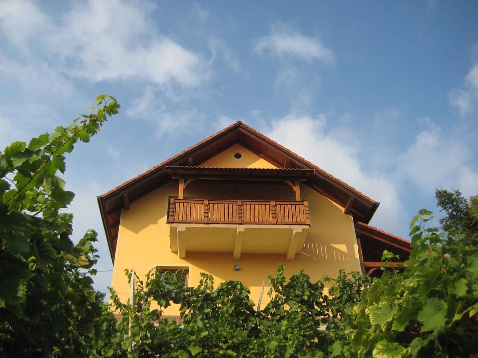 external view