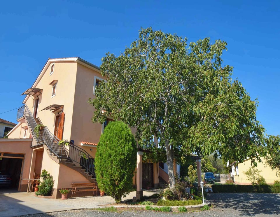 external view