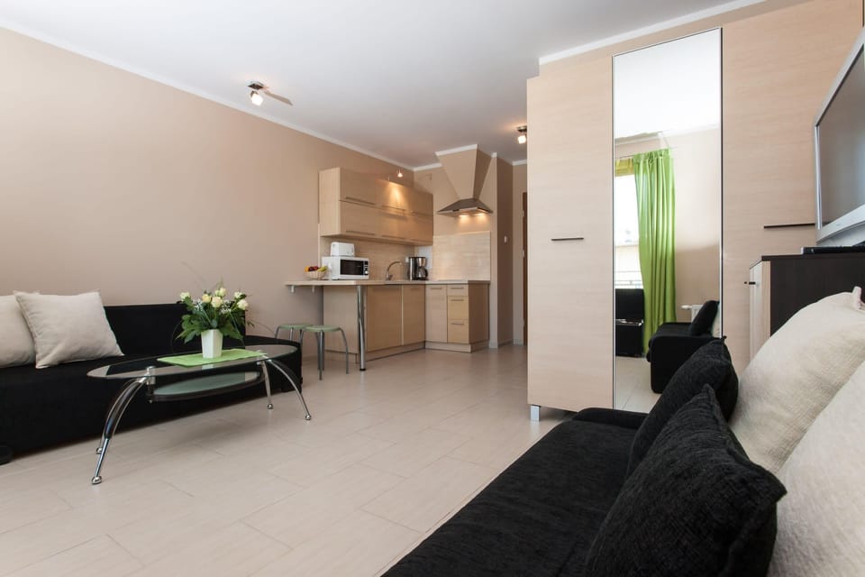 A view of the living and kitchen area from a different perspective, showing the black couch in the foreground and the kitchen and dining area in the background. The space is compact but functional.