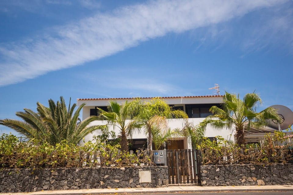 Quiet villa surrounded by palm trees