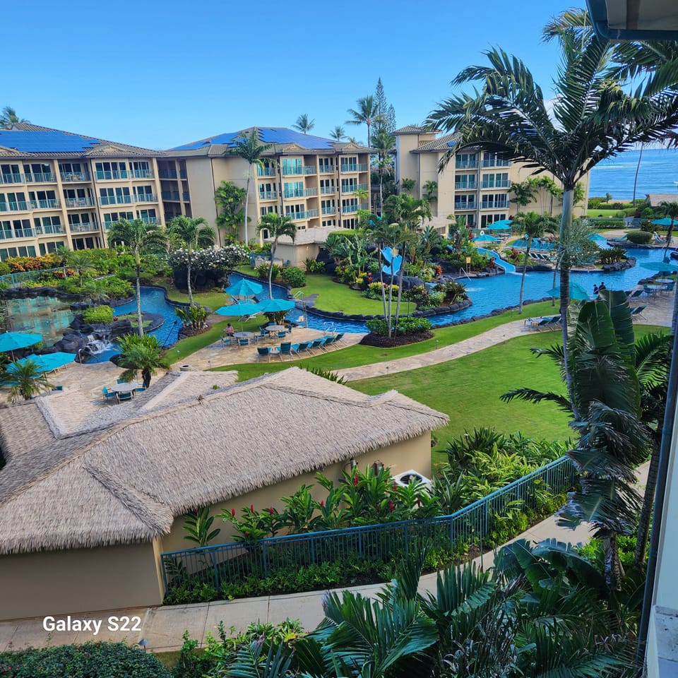 Pool from the Breezeway 