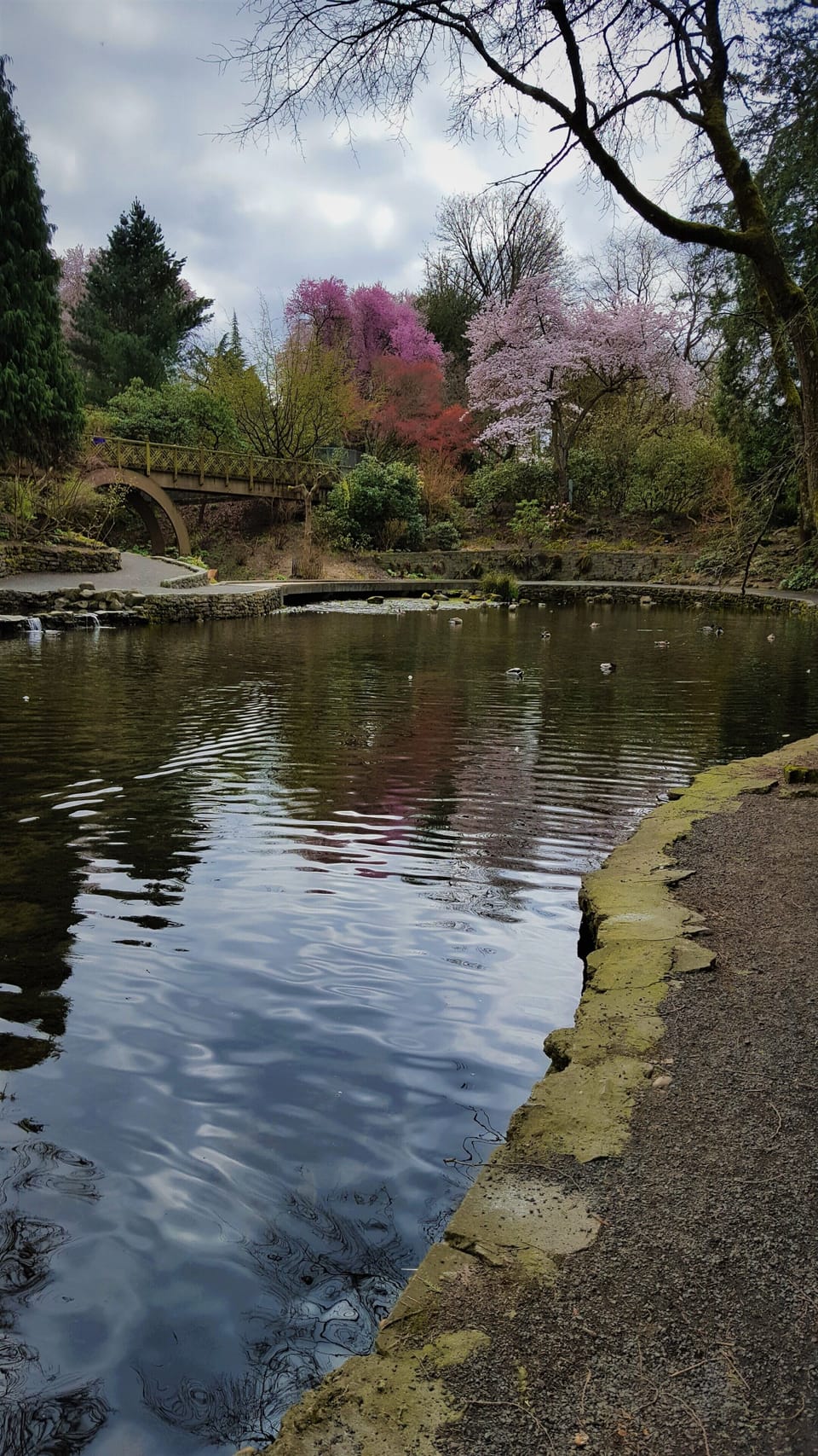 Enjoy our local; parks-in Summer-> free movies, plays, concerts, Sunday Parkways