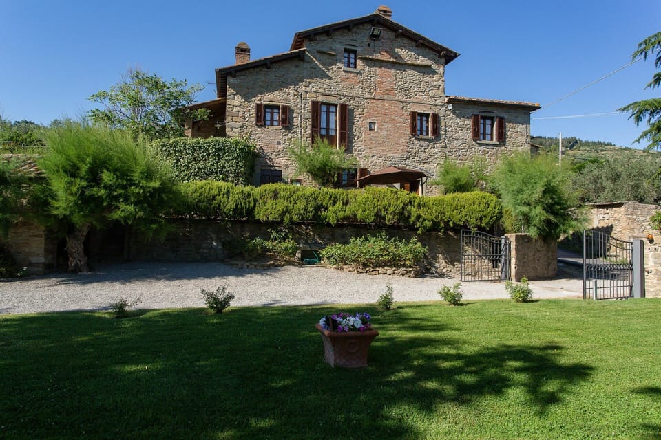 Garden and outdoor view