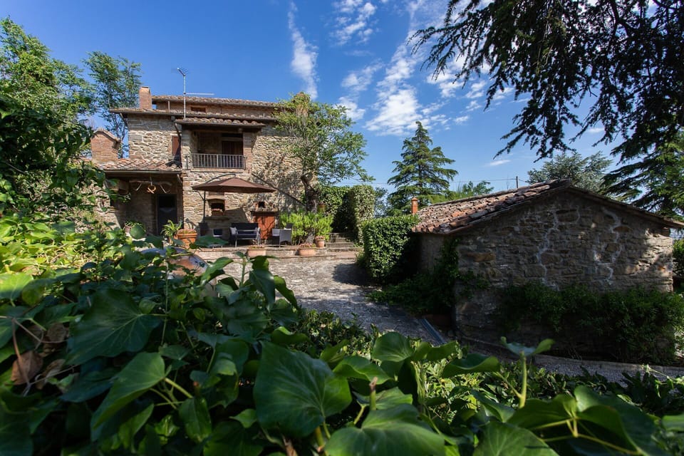 Garden and outdoor view