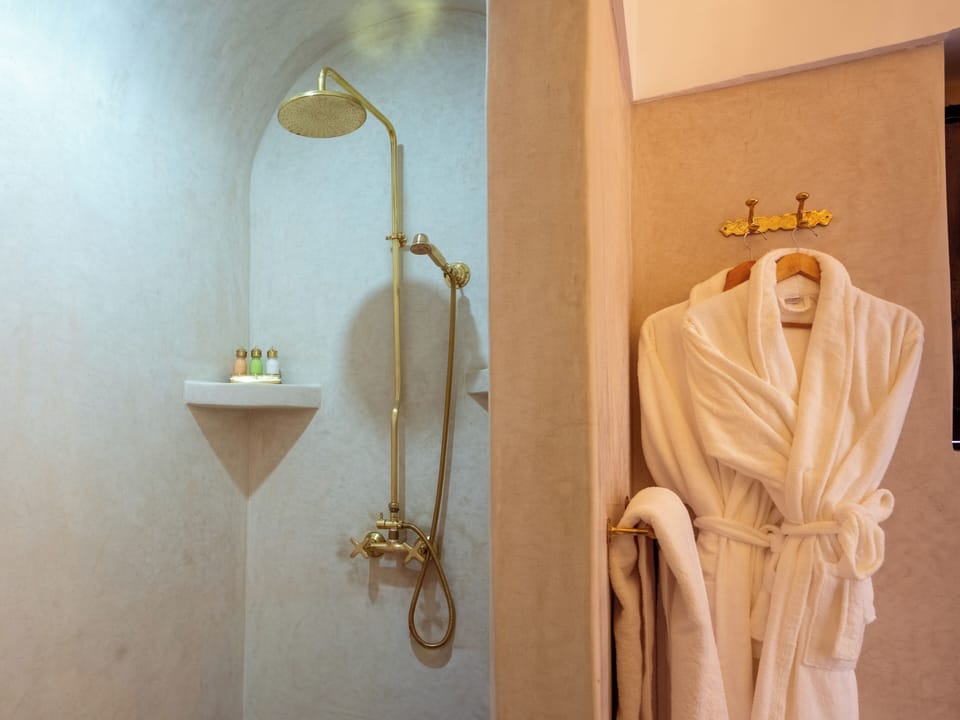Deluxe Room | Bathroom | Shower, free toiletries, hair dryer, soap