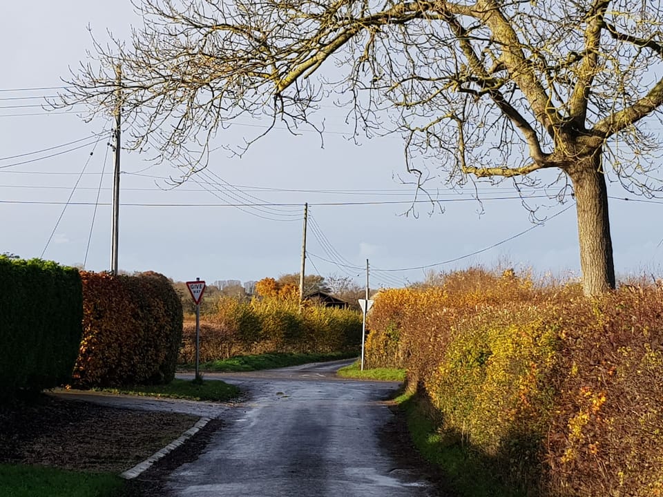 rush hour in badgers cross!