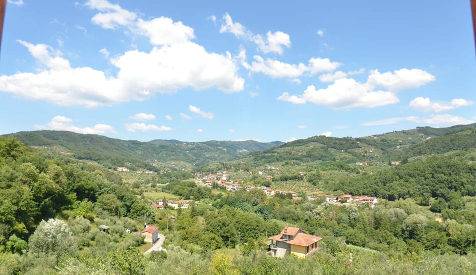 Scenic View