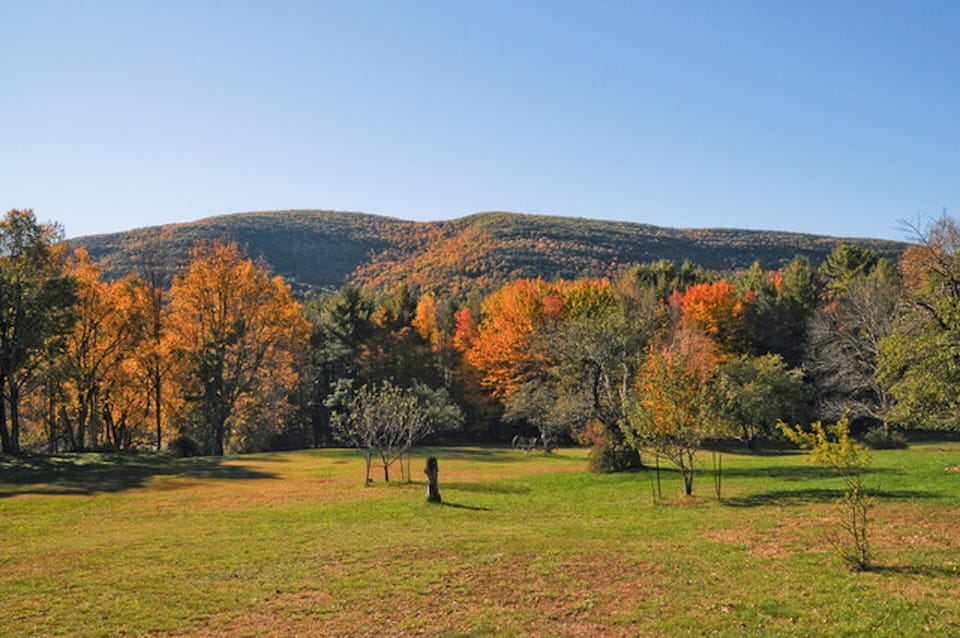 Rent canoes and kayaks at Kenneth Wilson State Park. Only a 5 minute walk to the