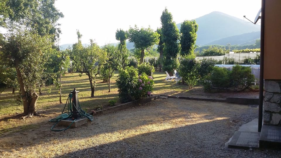 Garden, Outdoor