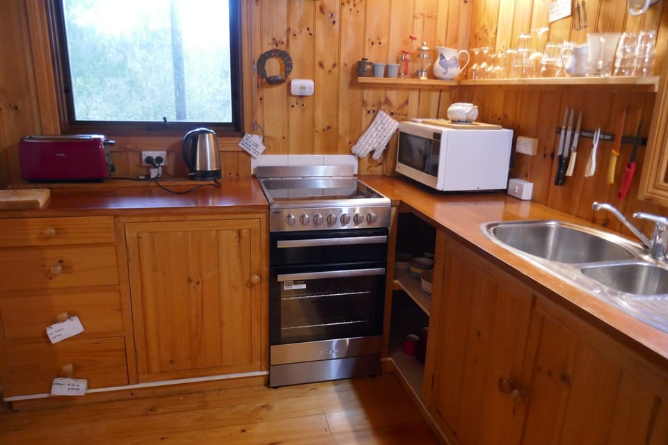 kitchen with new electric stove