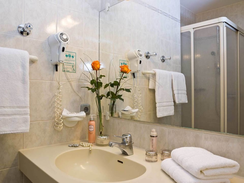 Single Room | Bathroom | Shower, hair dryer, towels